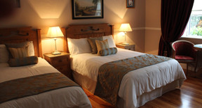 Twin beds with matching throws